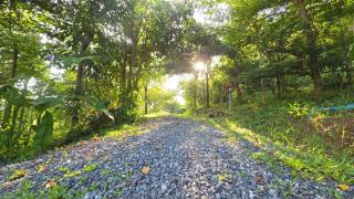 Khao Sok Horizon - 8