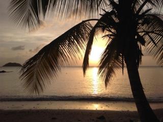 TI PARADIS DE l'ANSE FIGUIER VILLA voir site vacances en martinique - Rivière-Pilote - 7