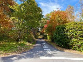 Chateau Ange UMAYA - Vacation STAY 68831v - 5