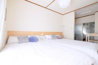 Daiichi Mitsumi Corporation - Vacation STAY 15392 - 9