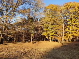 Mori no Komei campsite - Vacation STAY 04454v - Tsumagoi - 8