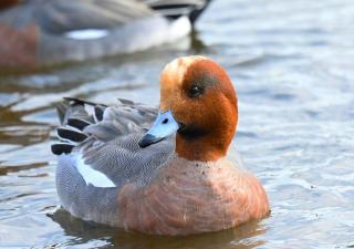 Glamping Base IZUMO "Lakeside Hot Spring Hotel Kun - Vacation STAY 42024v - 2