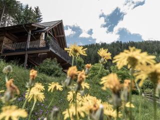 Baumhaus by Hotel Gassner - 4
