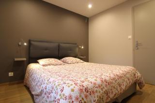 Appartement à La Bresse, proche des lacs, pistes de ski et randonnées - 3