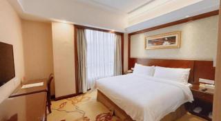 Vienna Hotel SH Wildlife Park Station - Shanghai - 9