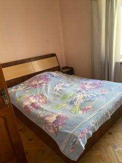 Lux-2-or-1- persons Irodion Evdoshvili Street #15 - 6