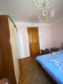 Lux-2-or-1- persons Irodion Evdoshvili Street #15 - 5