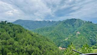 Mayank homestay shimla - 1