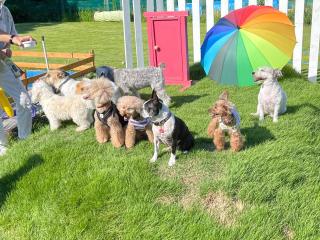 Biwako Hills - Vacation STAY 27844v - 2