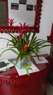 Hotel Popayan Plaza - Popayan - 7