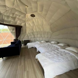 OLUOLU GLAMPING - Vacation STAY 84744v - 3