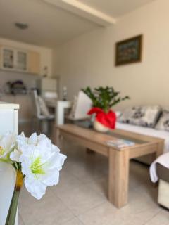 Coral apartment - 0