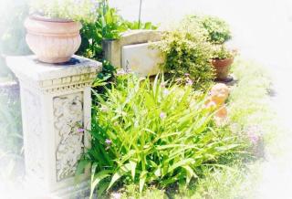 Apartment Hotel Mimoza - Vacation STAY 90043v - 8