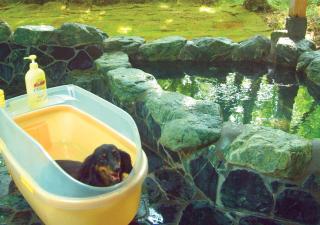 Animale in Nasu - Vacation STAY 25209v - 8