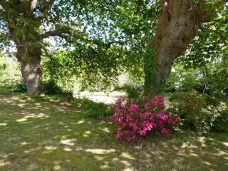 Appartement avec grand jardin proche mer - 8