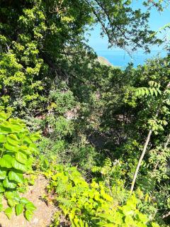 La terrazza sulla baia - Ischia San Montano view - 4