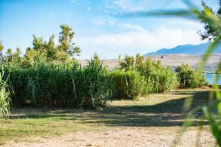 Terra Park SpiritoS Pitches - 4