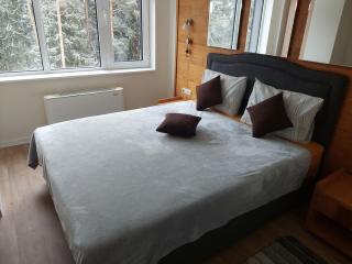 Apartment Relax Chamkoria Borovets - Borowez - 9