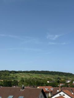 Neues, stilvolles Loft inmitten der Weinberge - 9