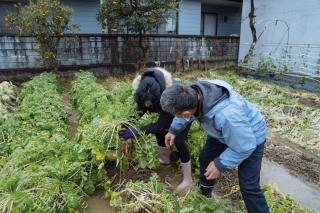 Iwanoya - Vacation STAY 30074v - 4