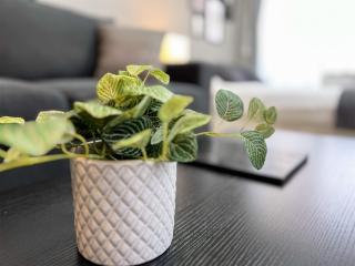 Lion Heiwa Odori - Vacation STAY 17961 - 7