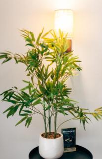 Greenwich Property - 1
