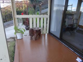 Tabiposuto Nonohana - Vacation STAY 96749v - 1