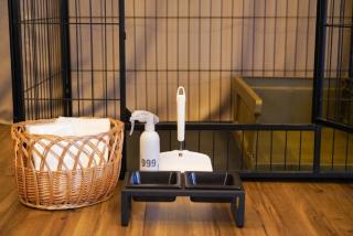 THE BASE GLAMPING YUGAWARA Kanagawa Glamping - Vacation STAY 74520v - 6
