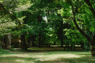 Pavillon de l'octroi du Château de Tavannes - 3