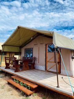 MARUŠINA OLIVE HILLS - glamping & minicamp - 2