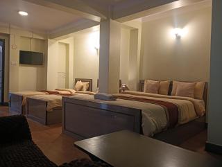 Hotel Pristine - Katmandú - 3