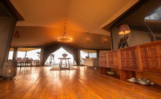 Serengeti Luxury Retreat - Serengeti-Nationalpark - 8