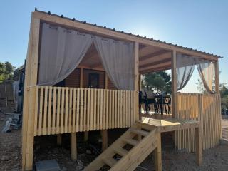 The Nest - 7