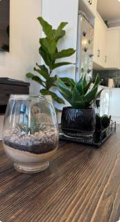 The Urban Elm Guesthouse - 8