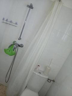 Chambre avec SDB WC à 100 m du départ du GR20 - 4