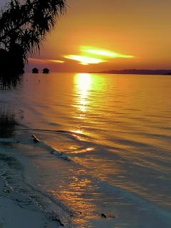 Dorey Dive Homestay - 1