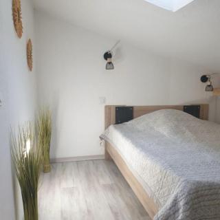 COCON en Camargue - 0