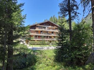 Apartment Arolla R01 by Interhome - Champex-Lac - 6
