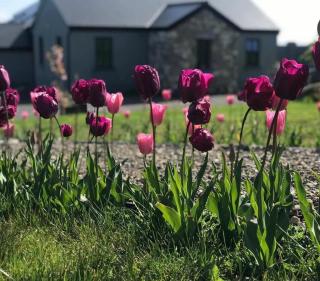 Country Lodge, Furbo - 6