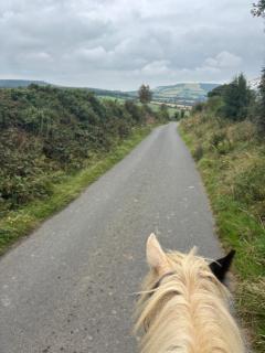 Brandon Lodge - Kilkenny - 2