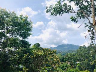 Seasons Homestay - Bandarawela - 6