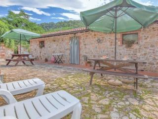 Apartment in Massa Marittima with swimming pool - Massa Marittima - 4