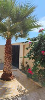 Villa Nour Kélibia - Kelibia - 4