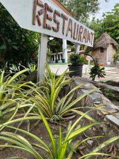 African Treasure Gardens And surf Resort - Kokrobite - 3