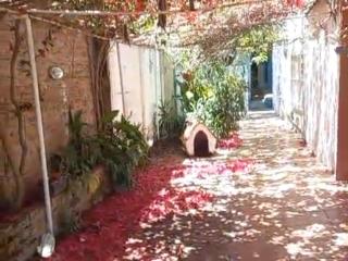 Casa cabaña para disfrutar en cualquier ocasión - 5