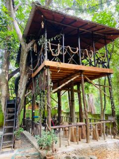 Mango Tree Hut udawalawe - 9