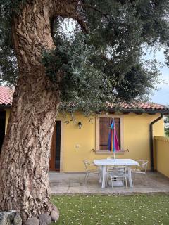 Appartamento la Quiete - 2