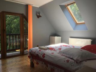 Vila Ianis Bran - 3