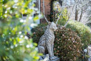 The Manor in Blue Mountains - 6