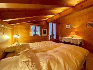 Gstaad Blue Sky Chalet with stunning views - 3